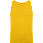 Texas color Amarillo Golden