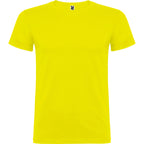 Beagle color Amarillo