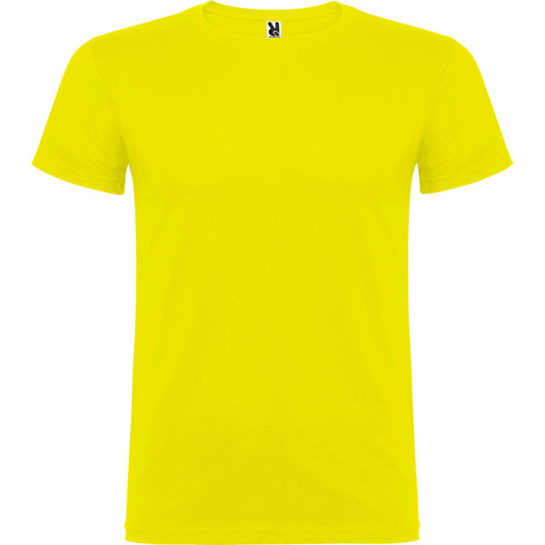 Beagle color Amarillo