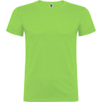 Beagle color Verde Oasis
