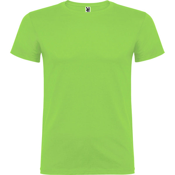 Beagle color Verde Oasis