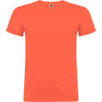 Beagle color Coral