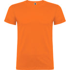 Beagle color Naranja
