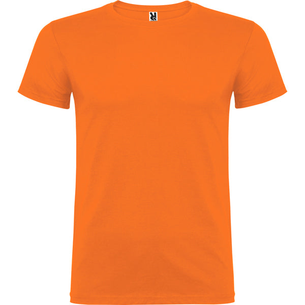 Beagle color Naranja