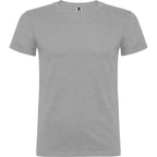 Beagle color Gris Vigore