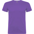Beagle color Iris Purpura