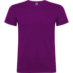Beagle color Purpura
