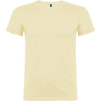 Beagle color Amarillo Sweet
