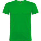 Beagle color Verde Grass