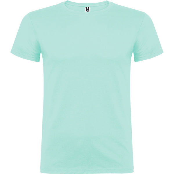 Beagle color Verde Menta