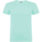 Beagle color Verde Menta