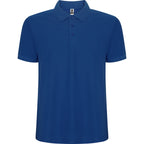 Pegaso Premium color Royal